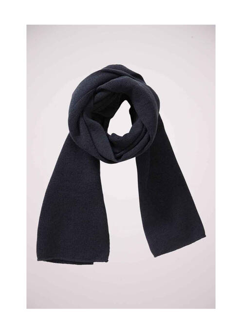 Echarpe bleu PETROL INDUSTRIES homme