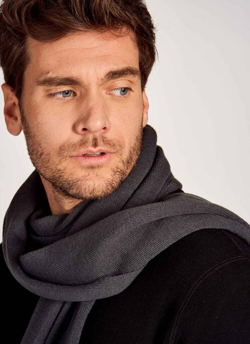 Echarpe gris PETROL INDUSTRIES homme