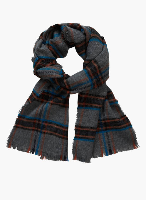 Echarpe gris PETROL INDUSTRIES homme