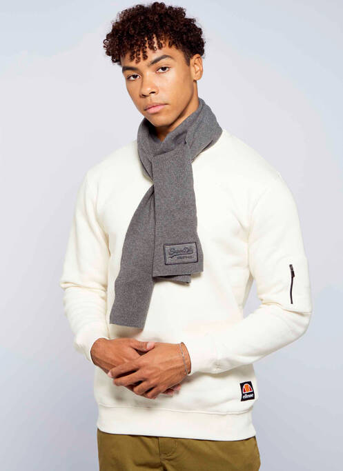 Echarpe gris SUPERDRY homme