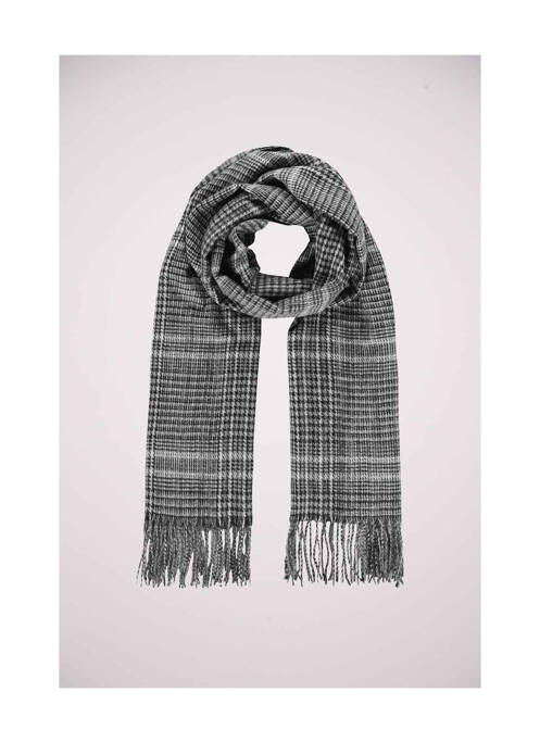Echarpe gris HAZE&FINN homme