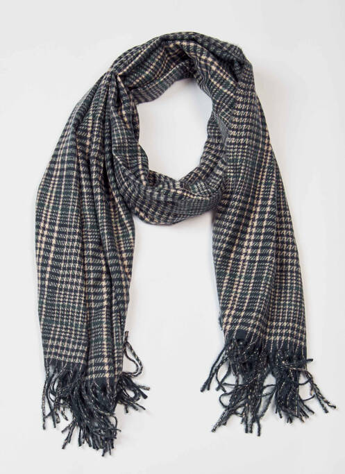 Echarpe bleu HAZE&FINN homme