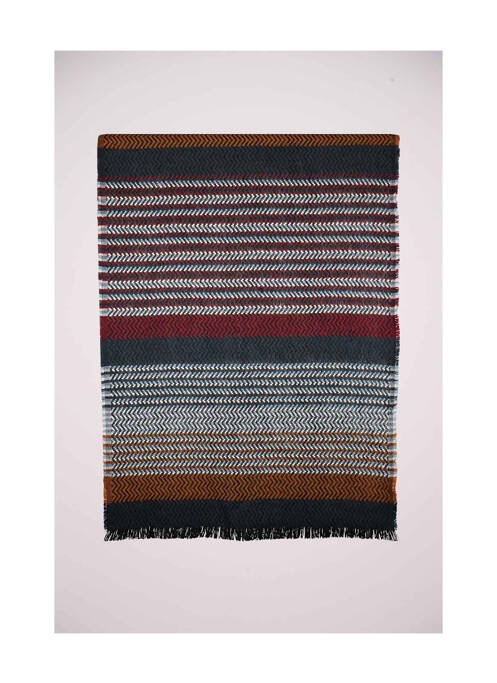 Echarpe multicolore HAZE&FINN homme