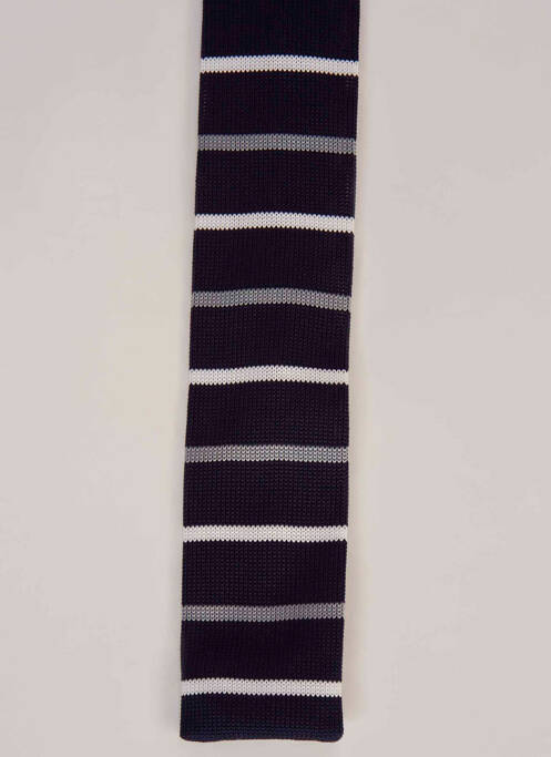 Cravate bleu LE FABULEUX MARCEL DE BRUXELLES homme