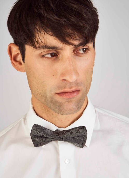 Noeud papillon gris LE FABULEUX MARCEL DE BRUXELLES pour homme