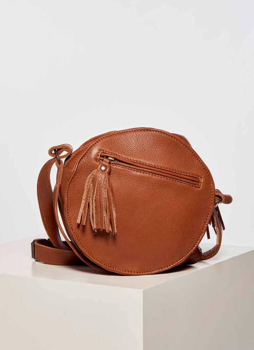 Sac marron PAUL MARIUS femme