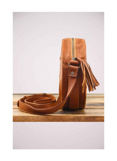 Sac marron PAUL MARIUS femme