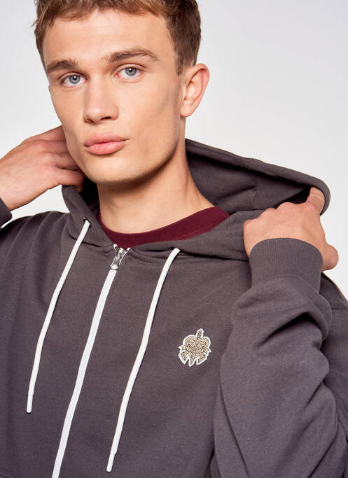 Sweat-shirt à capuche gris TOURIST LEMC pour homme