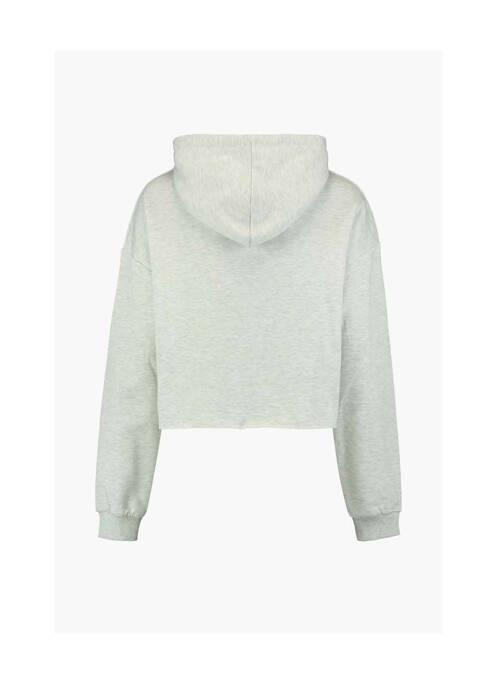 Sweat-shirt à capuche gris HAILYS pour femme