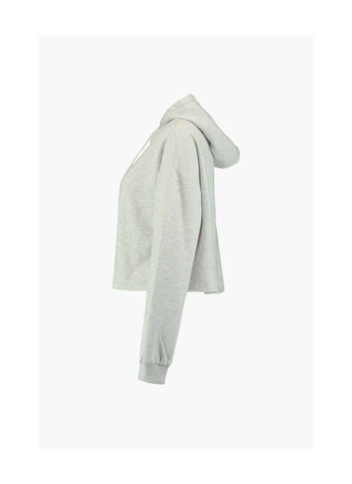 Sweat-shirt à capuche gris HAILYS pour femme