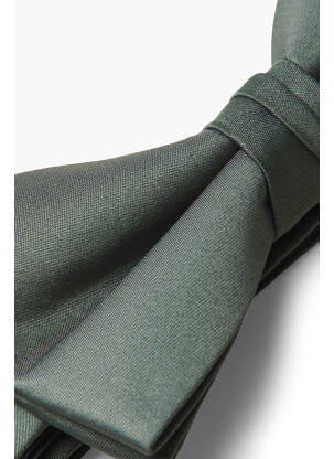 Noeud papillon vert JACK & JONES homme
