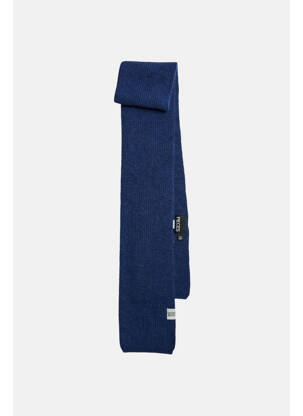 Echarpe bleu PIECES femme
