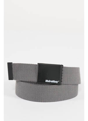 Ceinture gris COELY femme