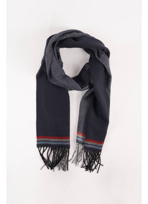 Echarpe bleu ACCESS homme
