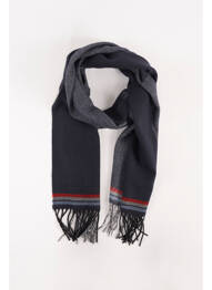 Echarpe bleu ACCESS homme