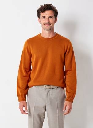 Pull col rond manches longues orange OCEAN homme