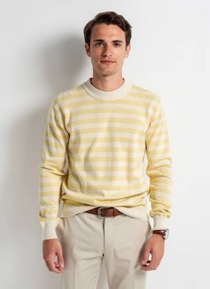 Pull col rond manches longues jaune IRON AND RESIN homme