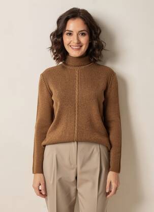 Pull col roulé coupe ajustée manches longues marron MONTAGUT femme