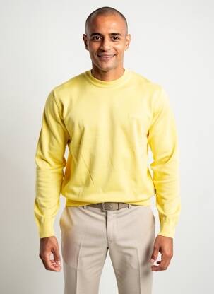 Pull col rond manches longues jaune HECHTER STUDIO homme