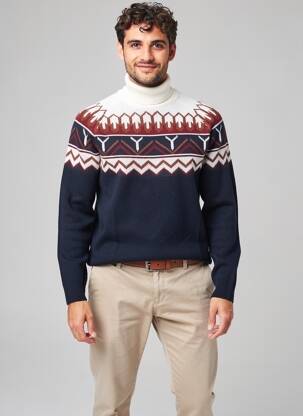 Pull col roulé manches longues manches longues bleu DANIEL HECHTER homme
