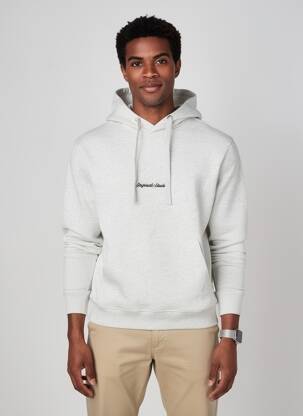 Sweat-shirt à capuche tissage jersey manches longues gris JACK & JONES homme