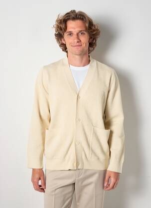 Gilet manches longues col v beige CELIO homme