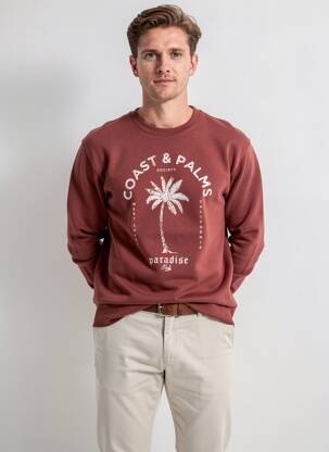 Pull col rond manches longues marron CELIO homme