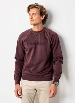 Pull col rond manches longues violet FAGUO homme