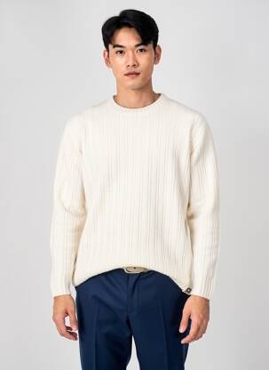 Pull col rond manches longues beige FREEMAN T.PORTER homme