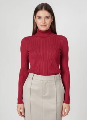 Pull col roulé tissage côtelé manches longues violet KILKY femme