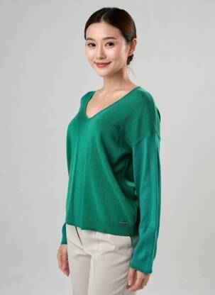Pull col v manches longues vert DIANE LAURY femme
