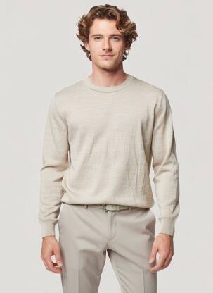 Pull col rond manches longues beige JACK & JONES homme