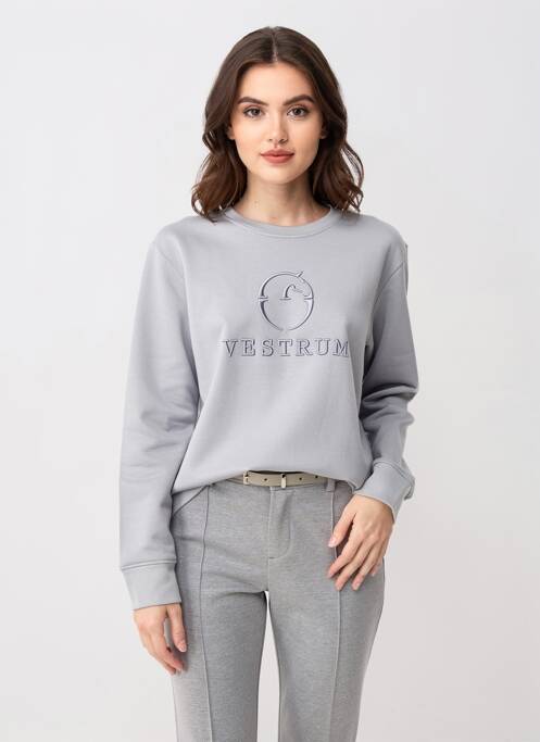 Sweat-shirt manches longues manches longues gris VESTRUM femme