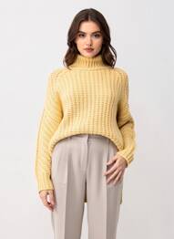 Pull col roulé coupe droite manches longues jaune SAMSOE & SAMSOE femme