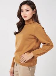 Pull col roulé stretch manches longues marron QUATTRO femme