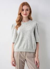 Pull col rond manches courtes gris FREEMAN T.PORTER femme