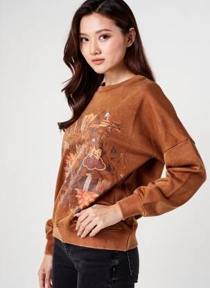 Sweat-shirt sérigraphie floquée manches longues marron ROSE GARDEN femme