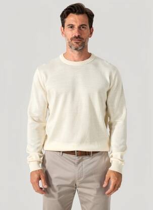 Pull stretch manches longues beige WOOL & CO homme