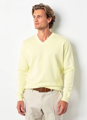 Pull col v manches longues jaune WOOL & CO homme