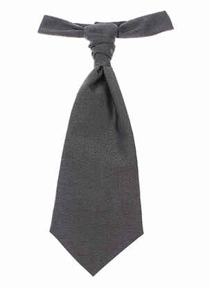 Cravate gris CARLO PIGNATELLI pour homme
