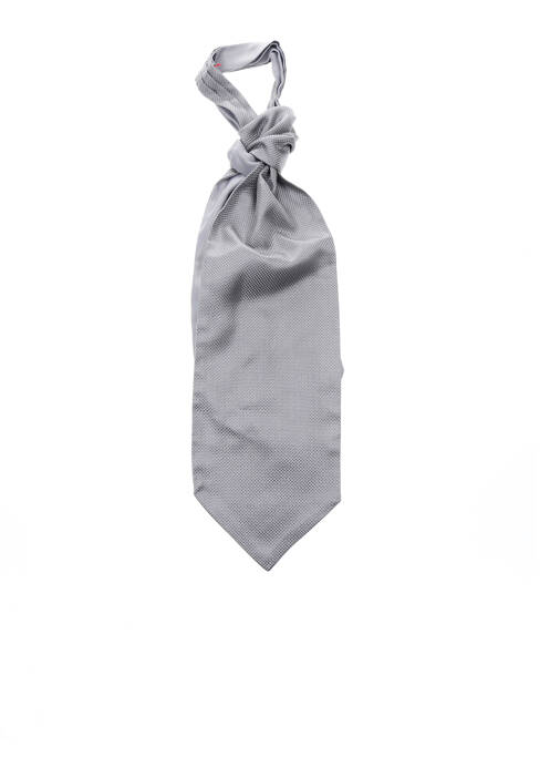 Cravate gris ALTA ROCCA pour homme