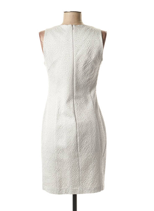 Robe mi-longue gris PAUL BRIAL pour femme