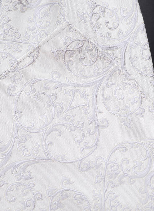 Cravate gris MASTERHAND pour homme