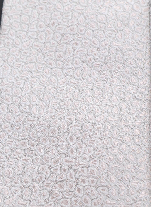 Cravate gris MASTERHAND pour homme