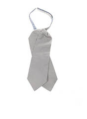 Cravate gris PROCHOWNICK pour homme seconde vue