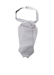 Cravate gris PAL ZILERI pour homme seconde vue