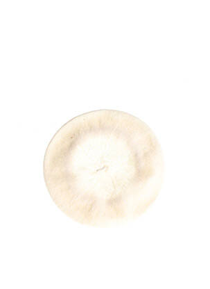 Bonnet forme béret beige SANS MARQUE femme