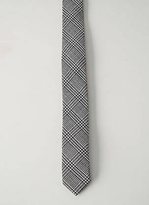 Cravate gris AN IVY pour homme