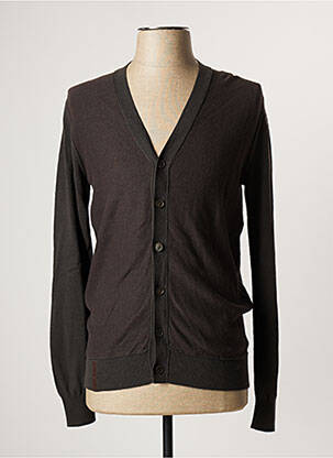 Gilet manches longues col v marron TERRE BLEUE homme