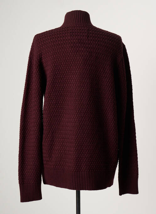 Gilet manches longues violet TERRE BLEUE pour homme